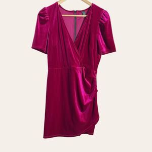 Wild Fable Fuchsia Pink Velvet Ruched Mini Dress Size M